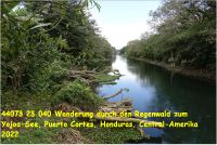 44073 23 040 Wanderung durch den Regenwald zum Yojoa-See, Puerto Cortes, Honduras, Central-Amerika 2022.jpg